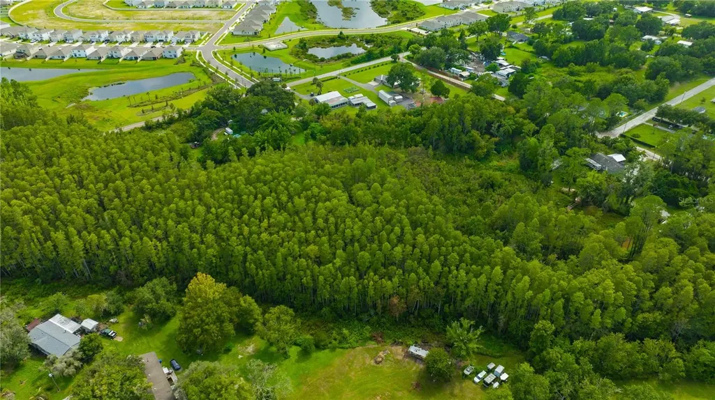 7408 Tom Drive Land O Lakes FL 34638