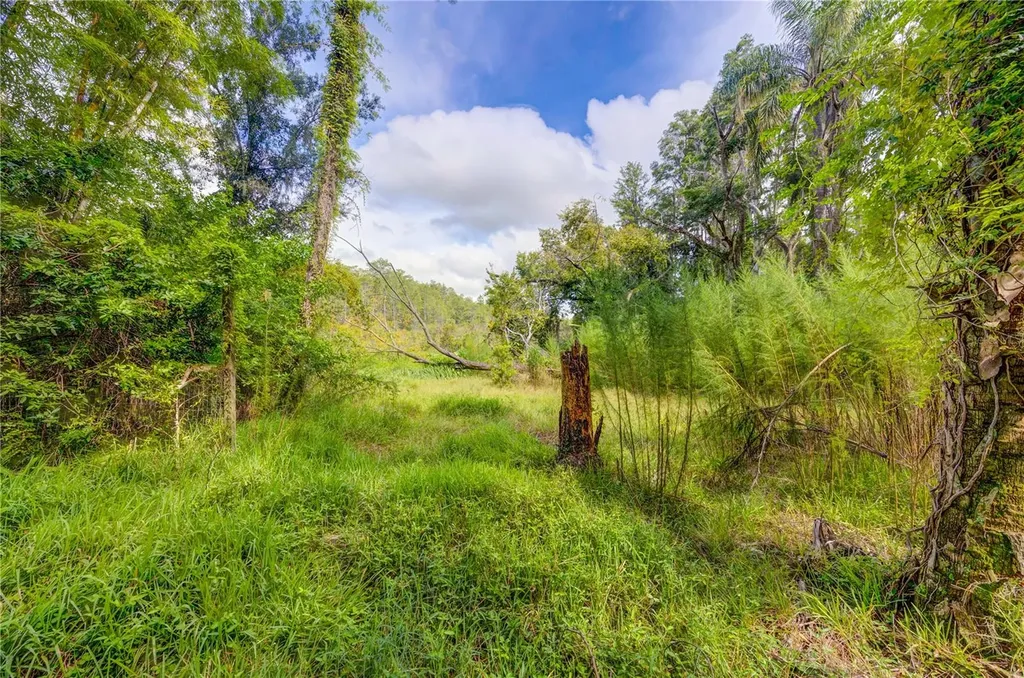 7408 Tom Drive Land O Lakes FL 34638