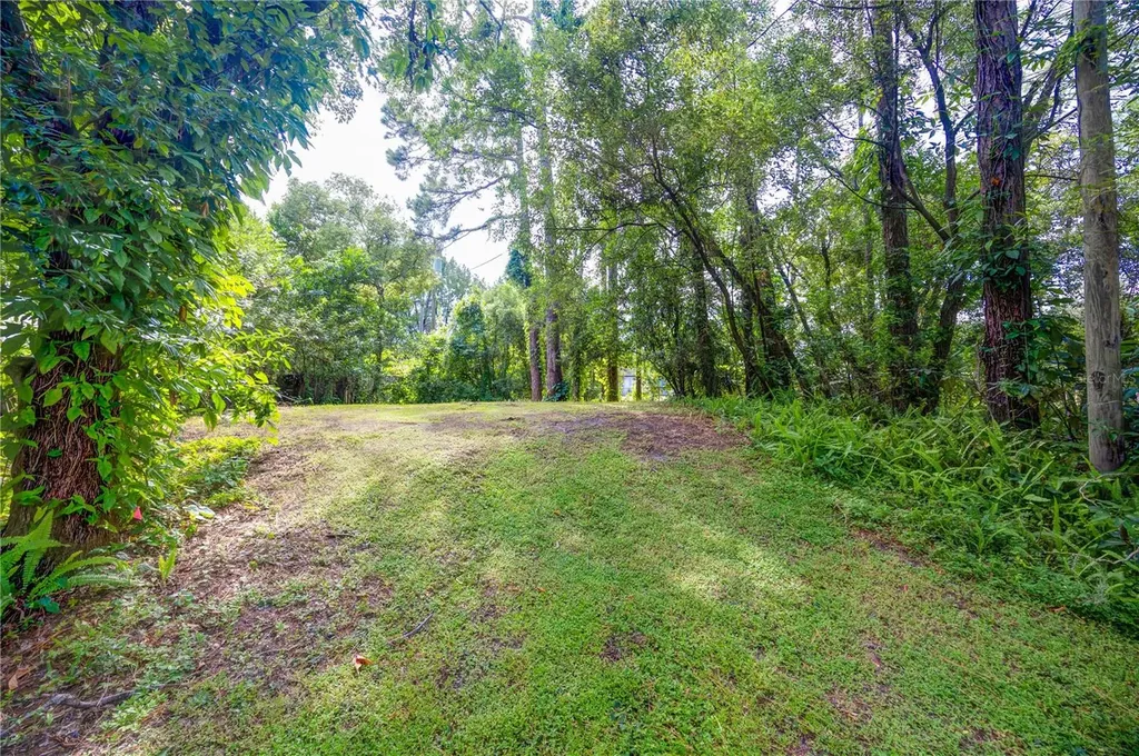 7408 Tom Drive Land O Lakes FL 34638