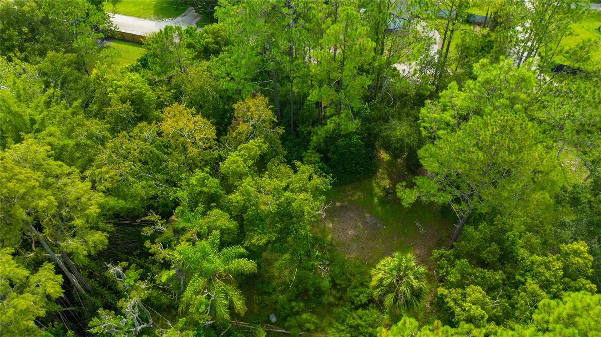 7408 Tom Drive Land O Lakes FL 34638