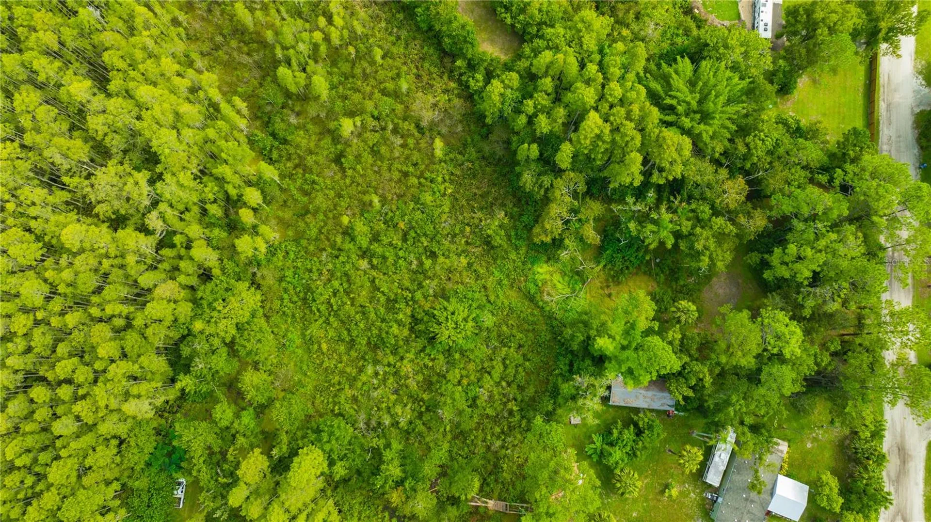 7408 Tom Drive Land O Lakes FL 34638