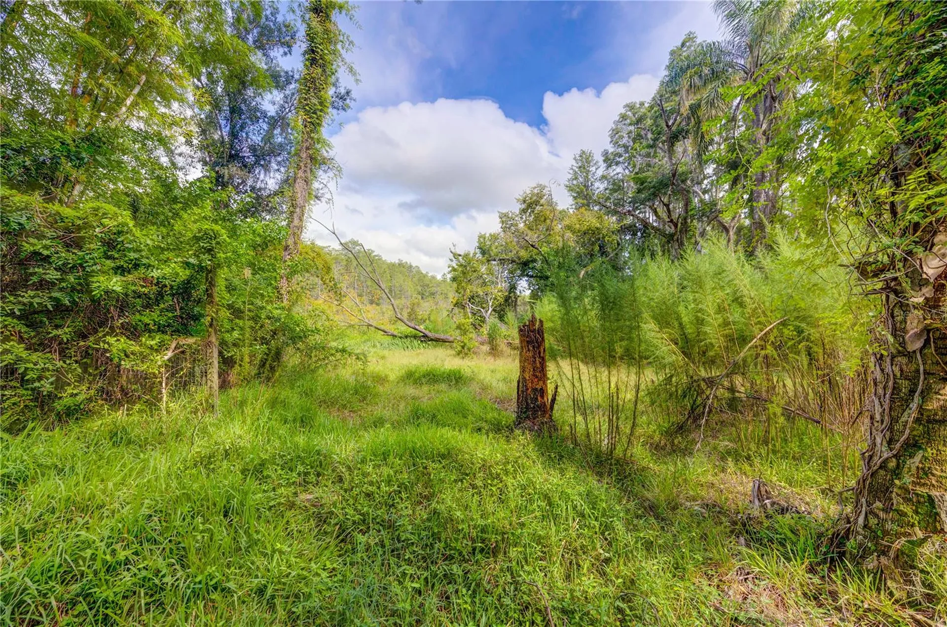 7408 Tom Drive Land O Lakes FL 34638