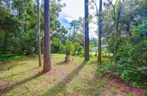 7408 Tom Drive Land O Lakes FL 34638