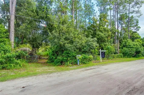 7408 Tom Drive Land O Lakes FL 34638