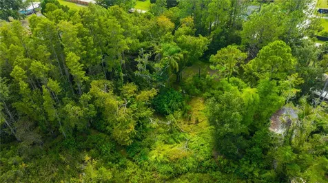 7408 Tom Drive Land O Lakes FL 34638