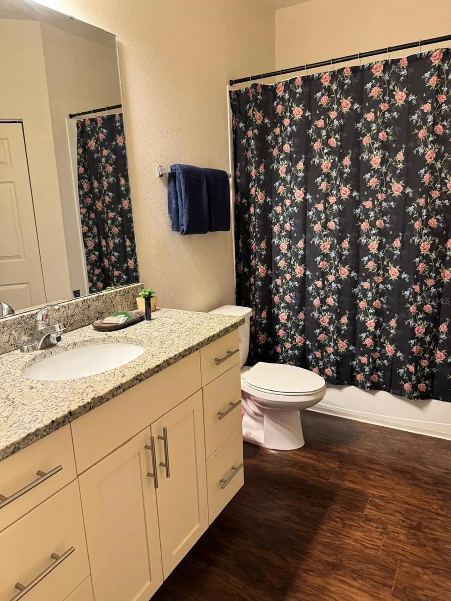 8981 Shine Drive Kissimmee FL 34747