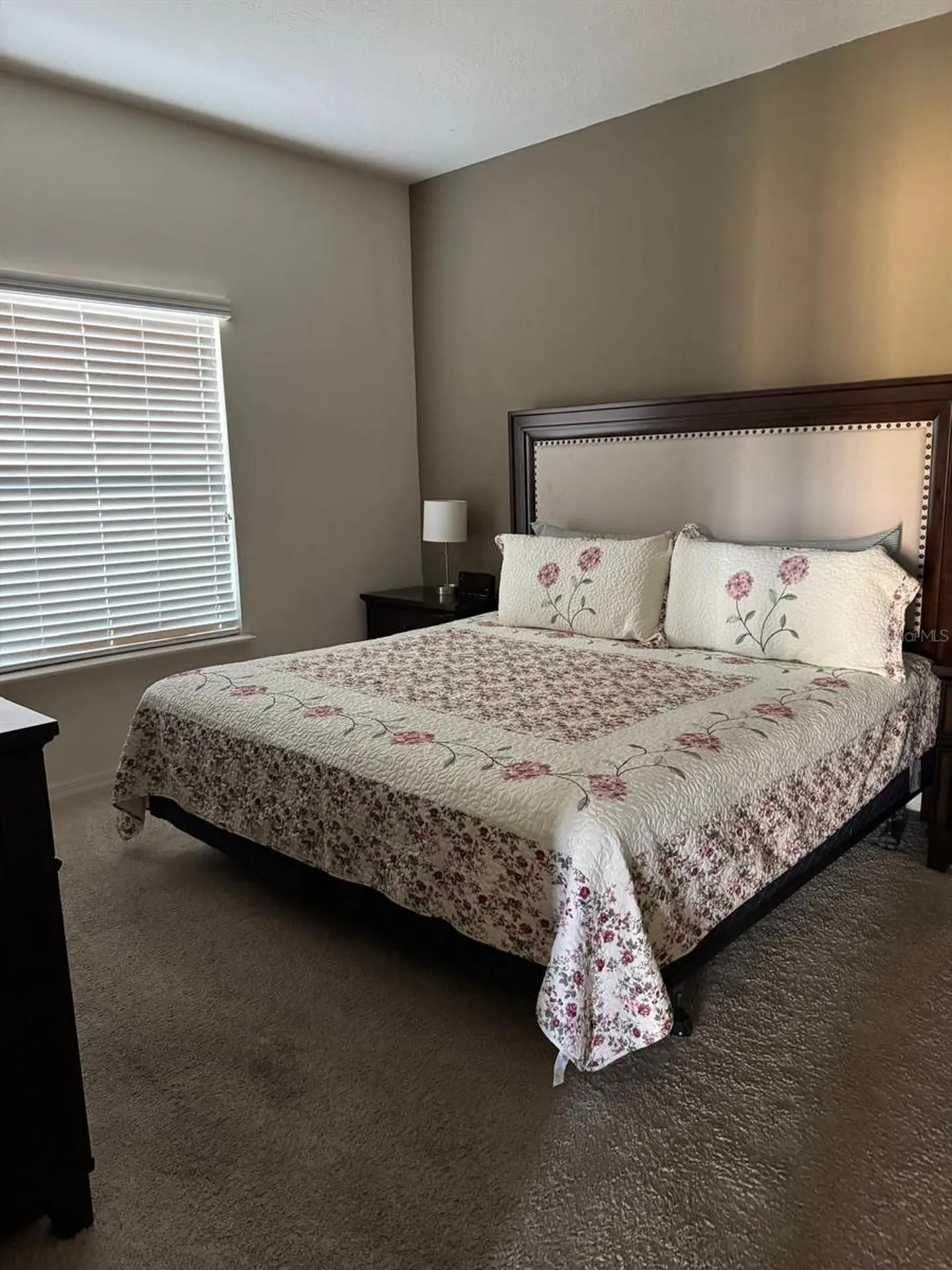 8981 Shine Drive Kissimmee FL 34747