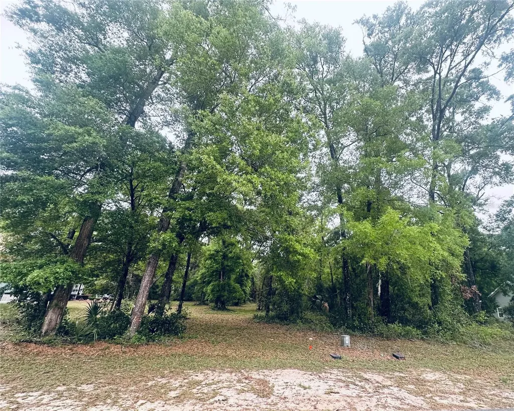 9260 Emily Drive Fanning Springs FL 32693