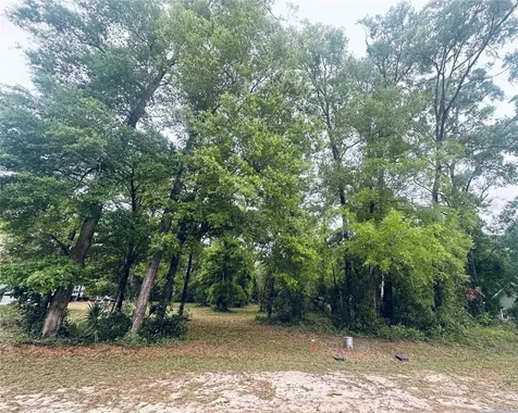 9260 Emily Drive Fanning Springs FL 32693