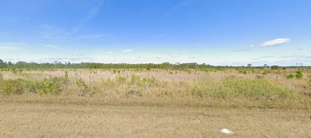 704 Calliandra Drive Indian Lake Estates FL 33855