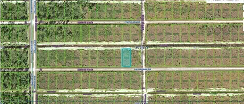 704 Calliandra Drive Indian Lake Estates FL 33855