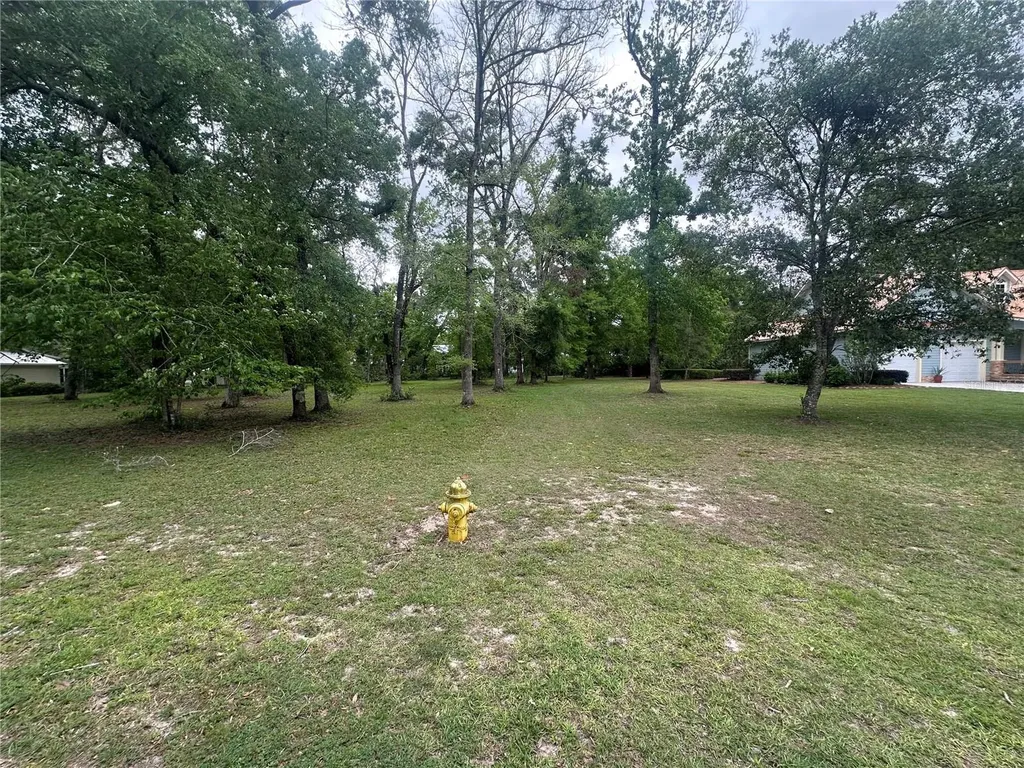 9220 Emily Drive Fanning Springs FL 32693