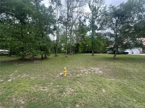 9220 Emily Drive Fanning Springs FL 32693