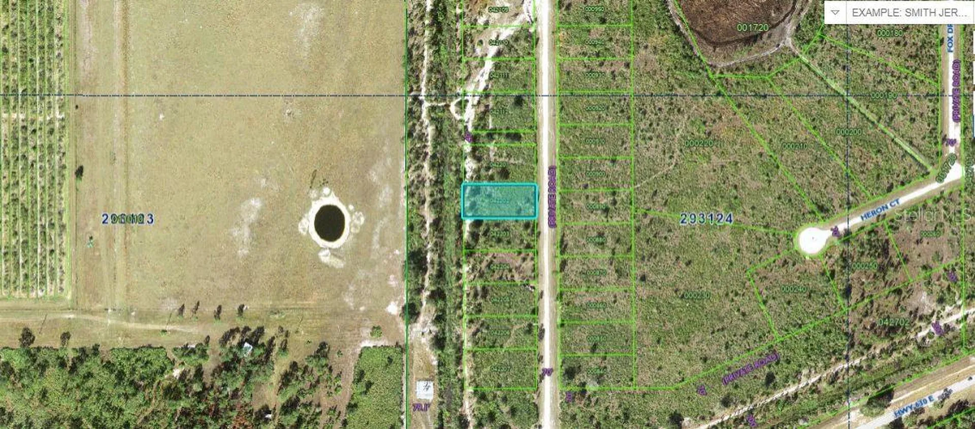 1251 Pinnata Drive Indian Lake Estates FL 33855