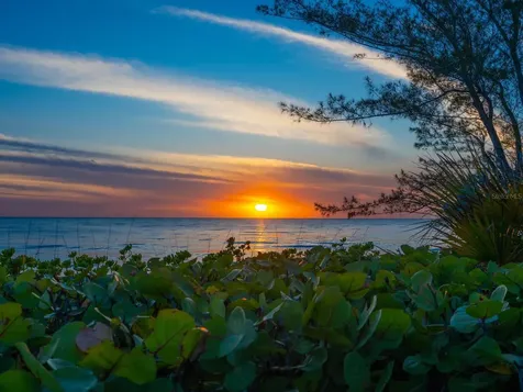 3201 Casey Key Road Nokomis FL 34275