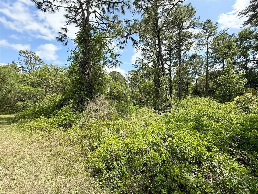 Lot 2 Quince Avenue Eustis FL 32736