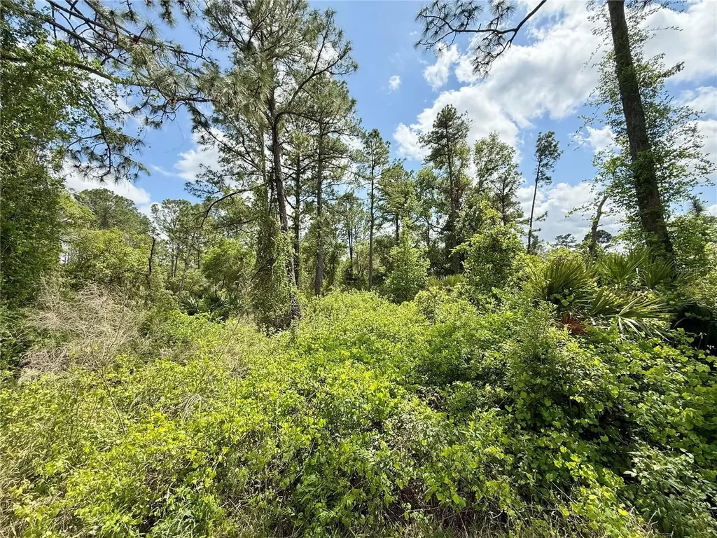 Lot 2 Quince Avenue Eustis FL 32736