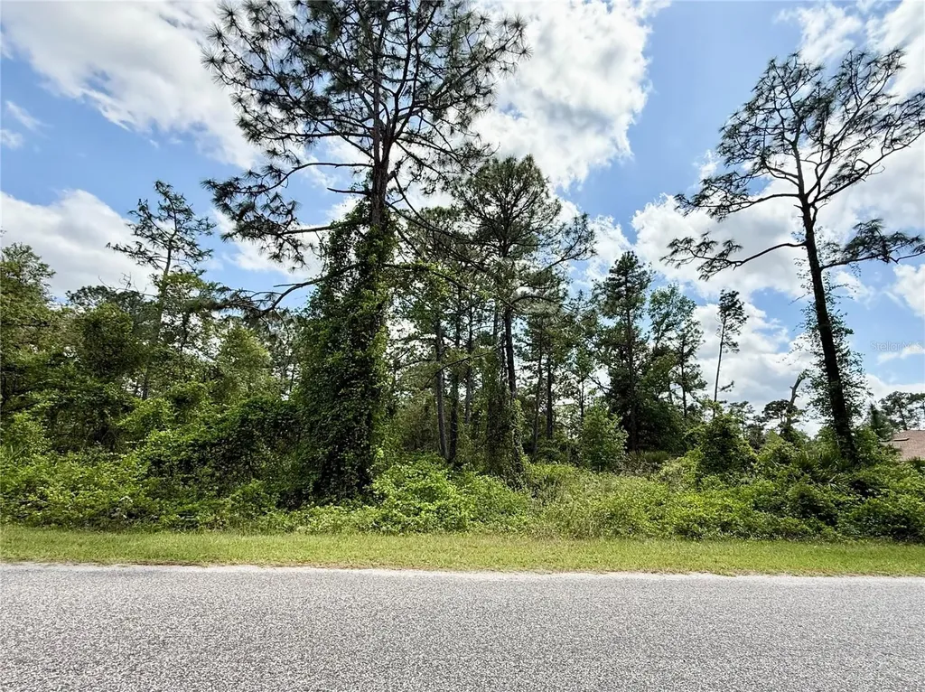 Lot 2 Quince Avenue Eustis FL 32736