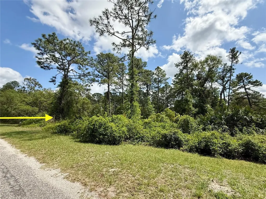 Lot 2 Quince Avenue Eustis FL 32736