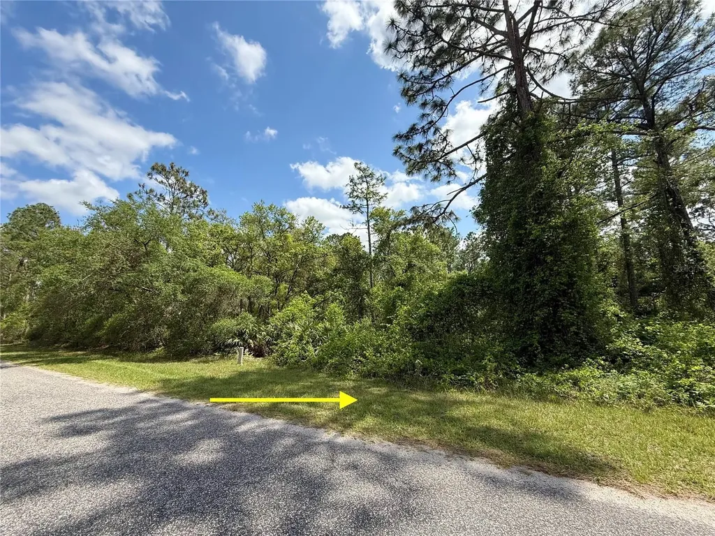 Lot 2 Quince Avenue Eustis FL 32736