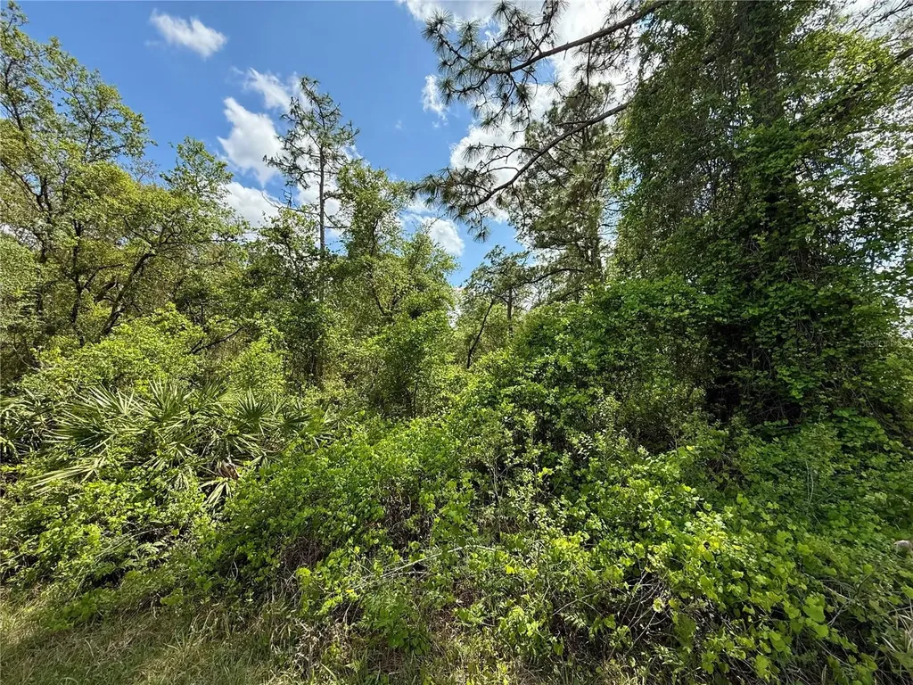 Lot 2 Quince Avenue Eustis FL 32736