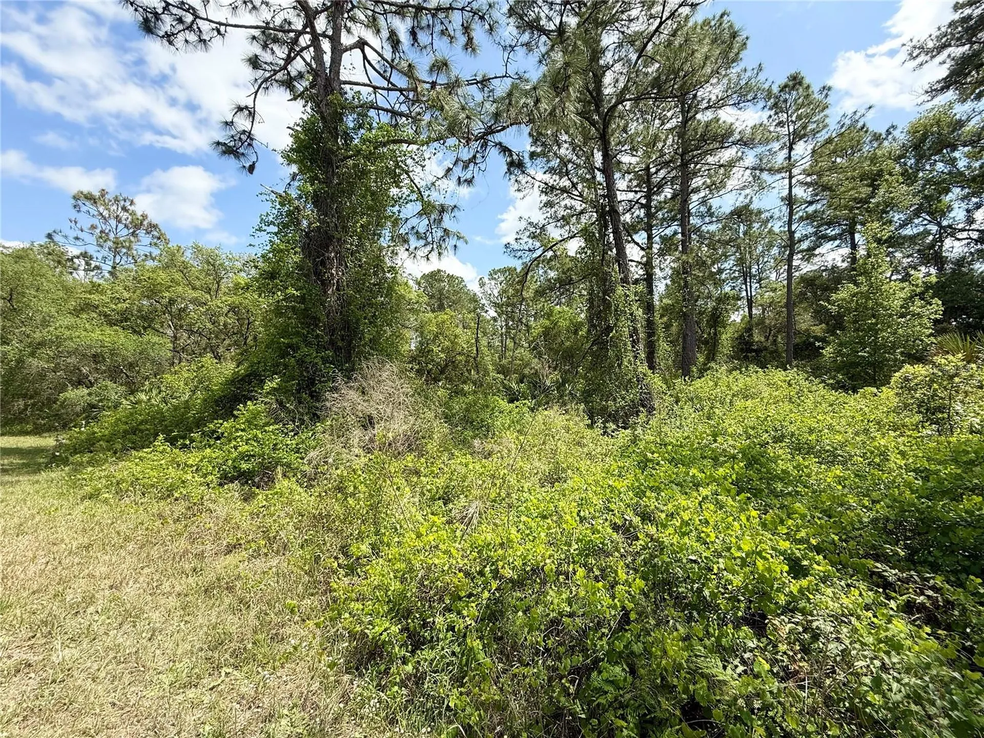 Lot 2 Quince Avenue Eustis FL 32736