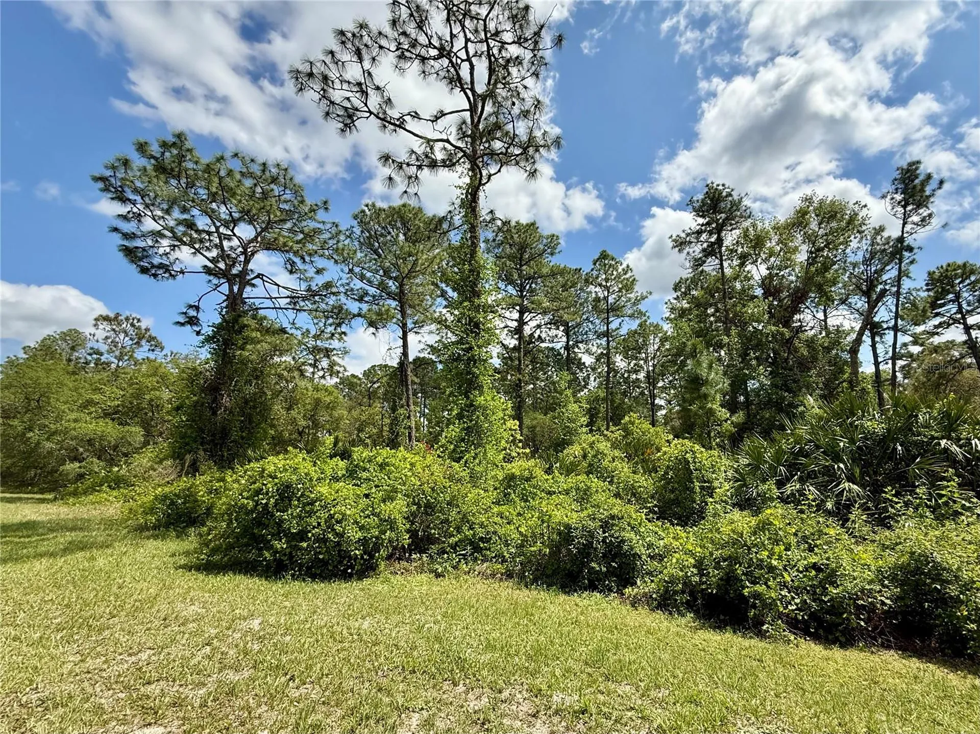 Lot 2 Quince Avenue Eustis FL 32736
