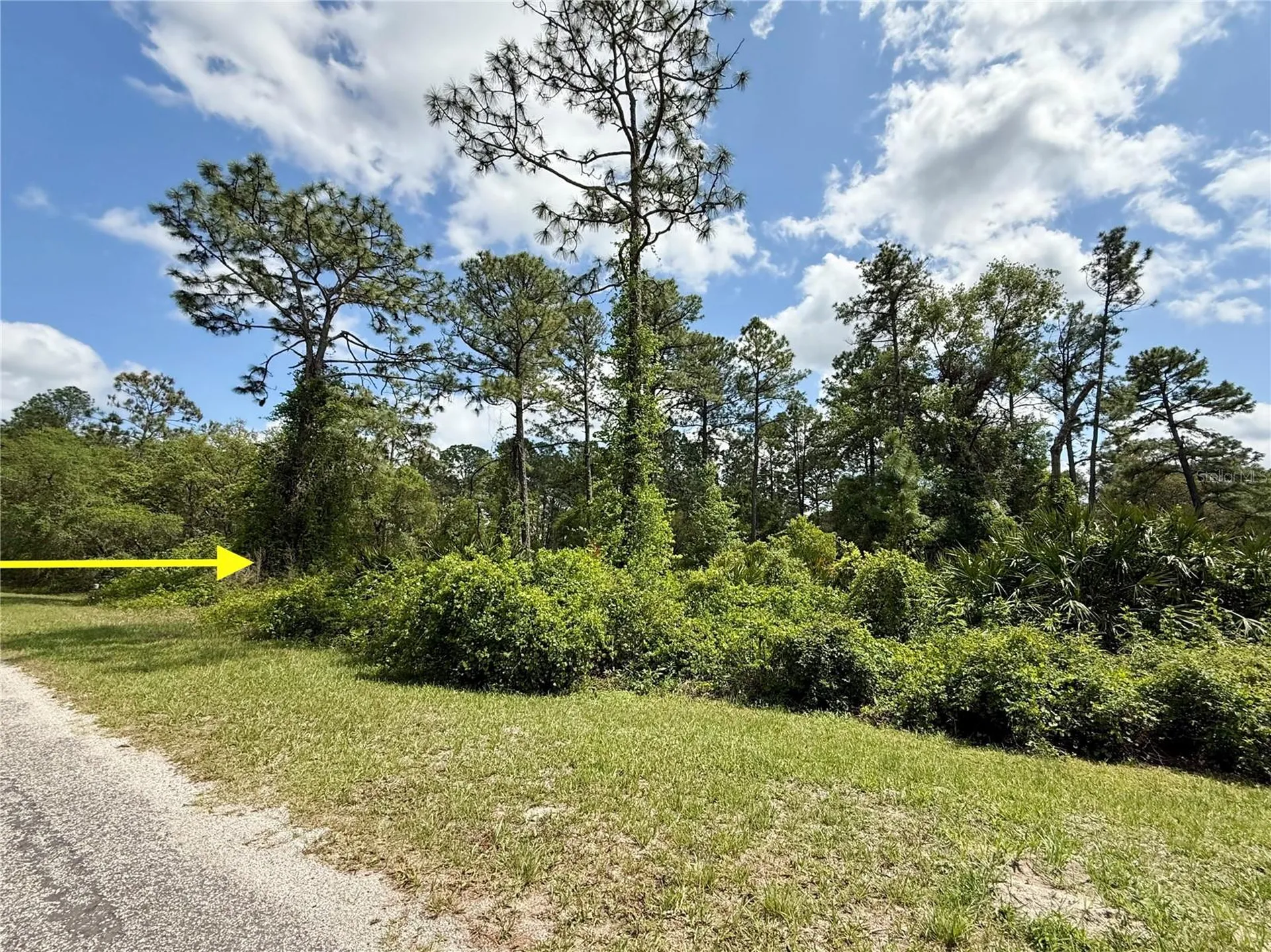 Lot 2 Quince Avenue Eustis FL 32736