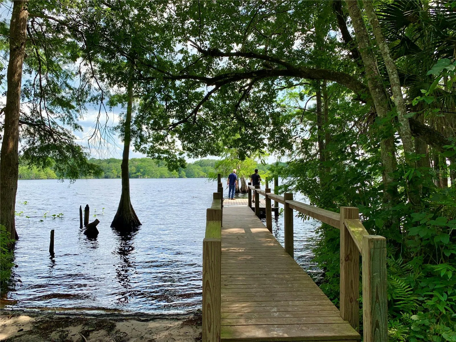 Lot 2 Quince Avenue Eustis FL 32736