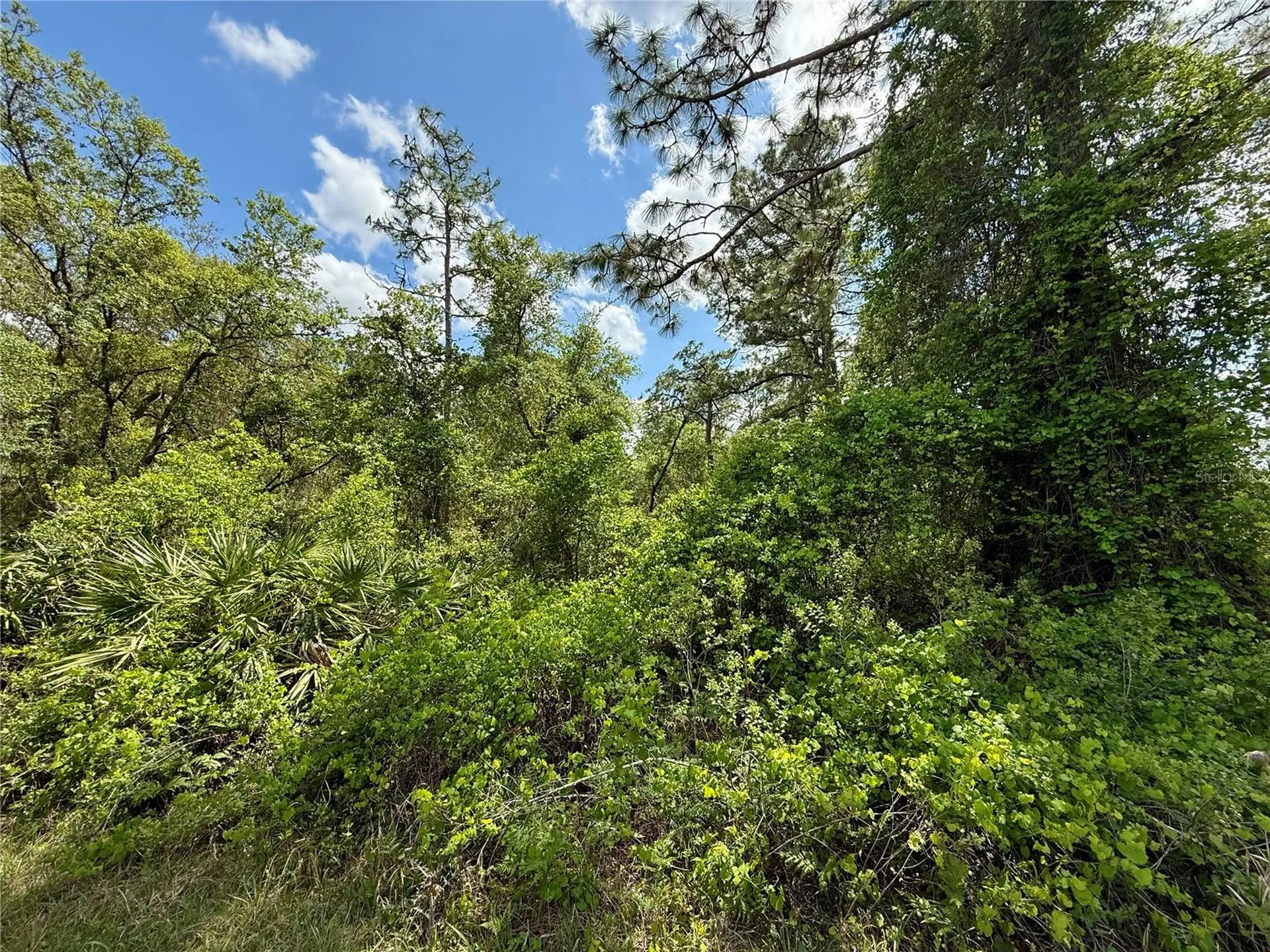 Lot 2 Quince Avenue Eustis FL 32736