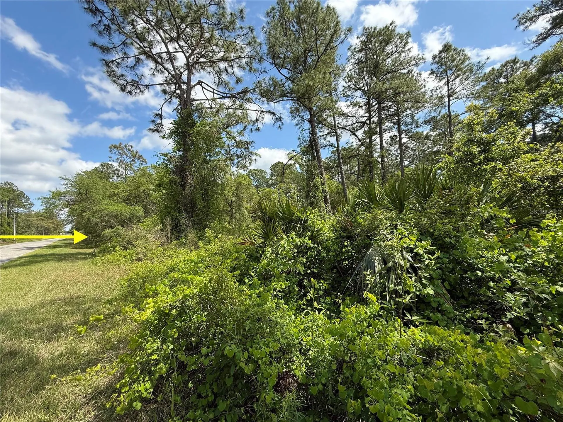 Lot 2 Quince Avenue Eustis FL 32736