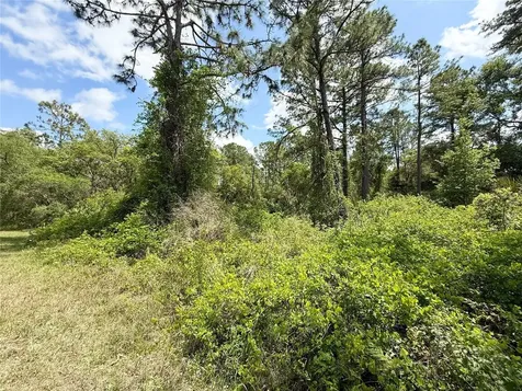 Lot 2 Quince Avenue Eustis FL 32736