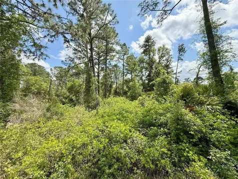 Lot 2 Quince Avenue Eustis FL 32736