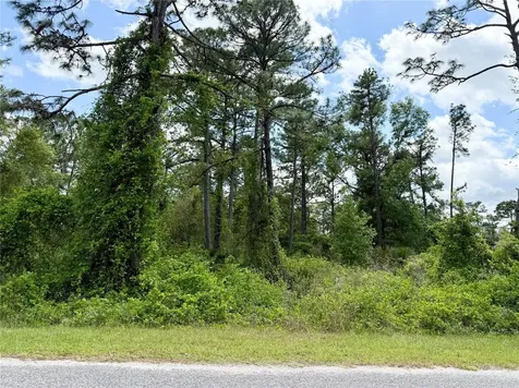 Lot 2 Quince Avenue Eustis FL 32736