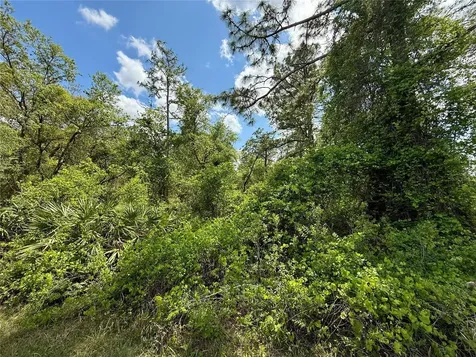 Lot 2 Quince Avenue Eustis FL 32736