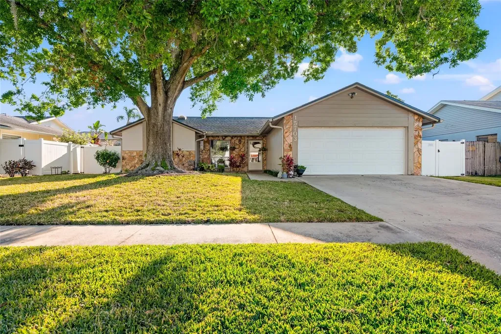15703 Bovine Place Tampa FL 33624