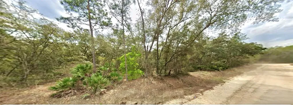 109 Dottie Street Interlachen FL 32148