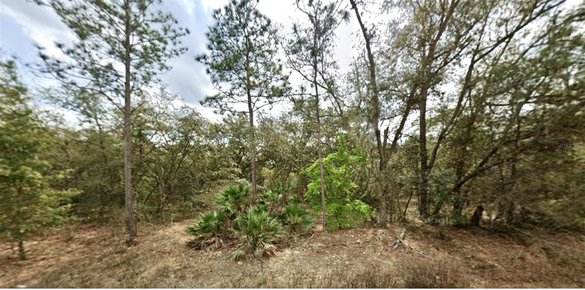 109 Dottie Street Interlachen FL 32148