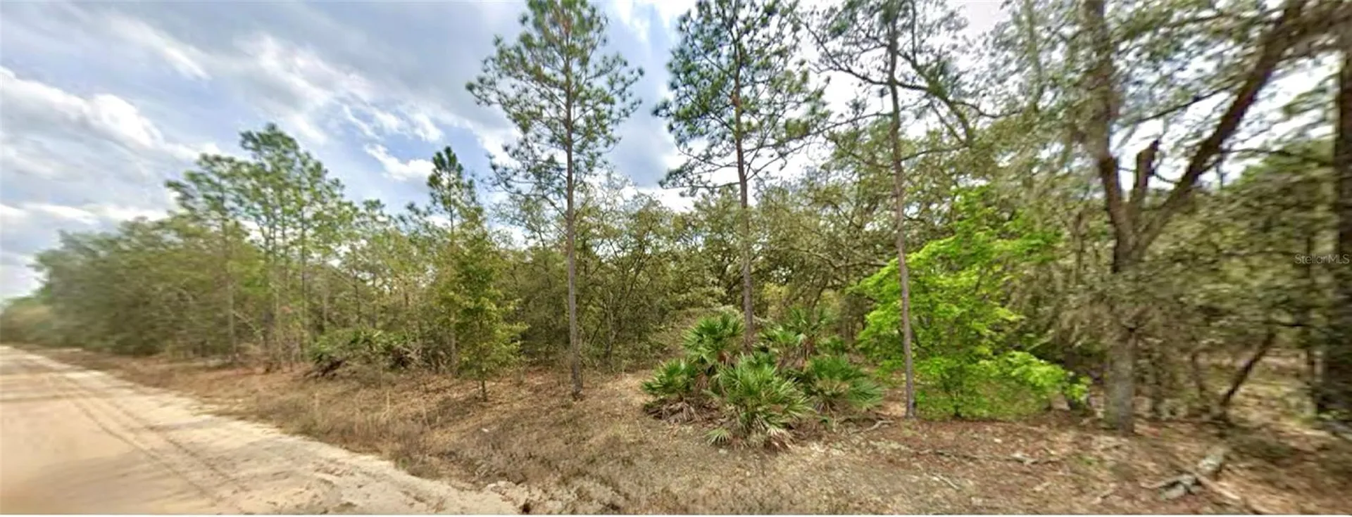 109 Dottie Street Interlachen FL 32148