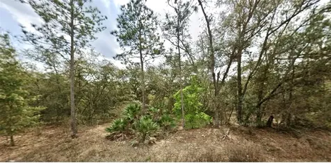 109 Dottie Street Interlachen FL 32148