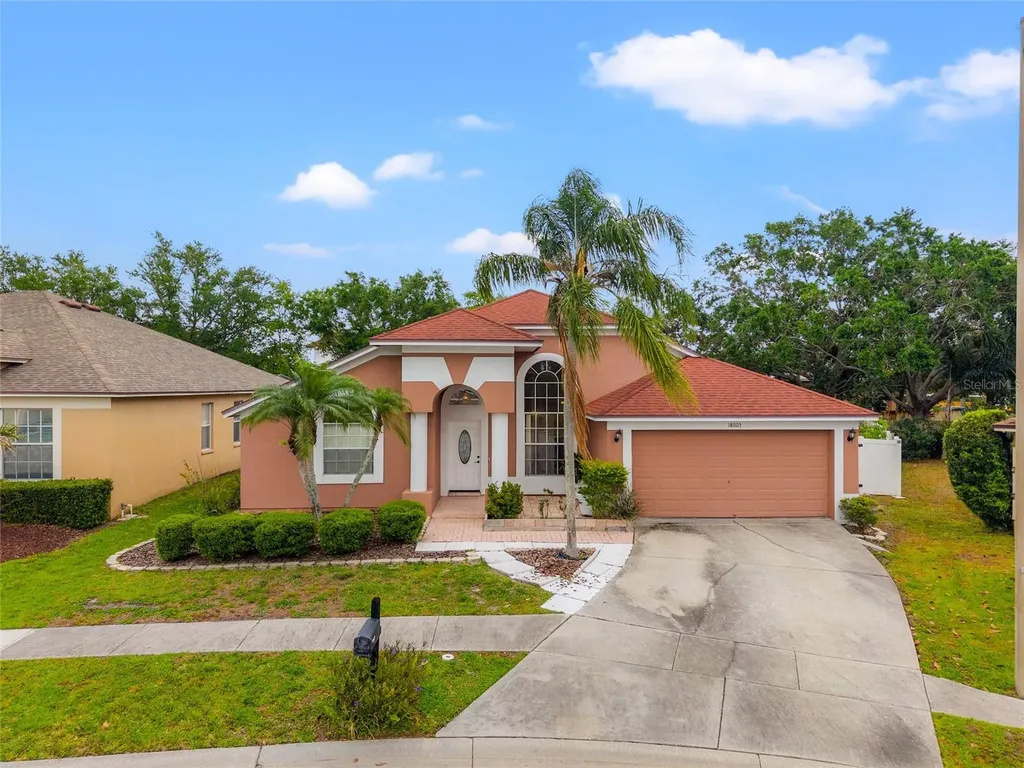 18005 Palm Breeze Drive Tampa FL 33647