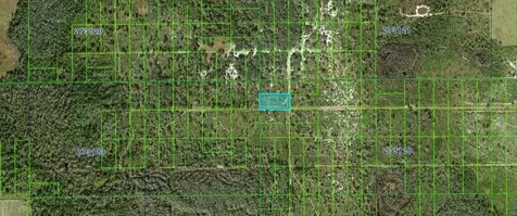 Rhoden Loop D Frostproof FL 33843