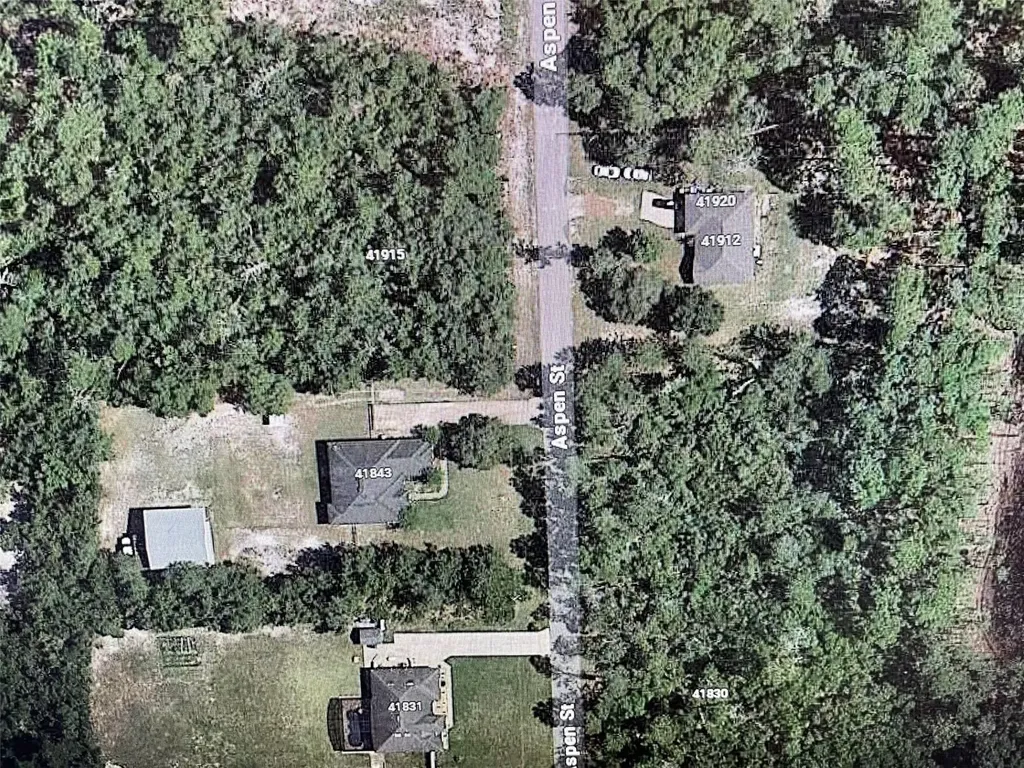 Aspen Street Eustis FL 32736