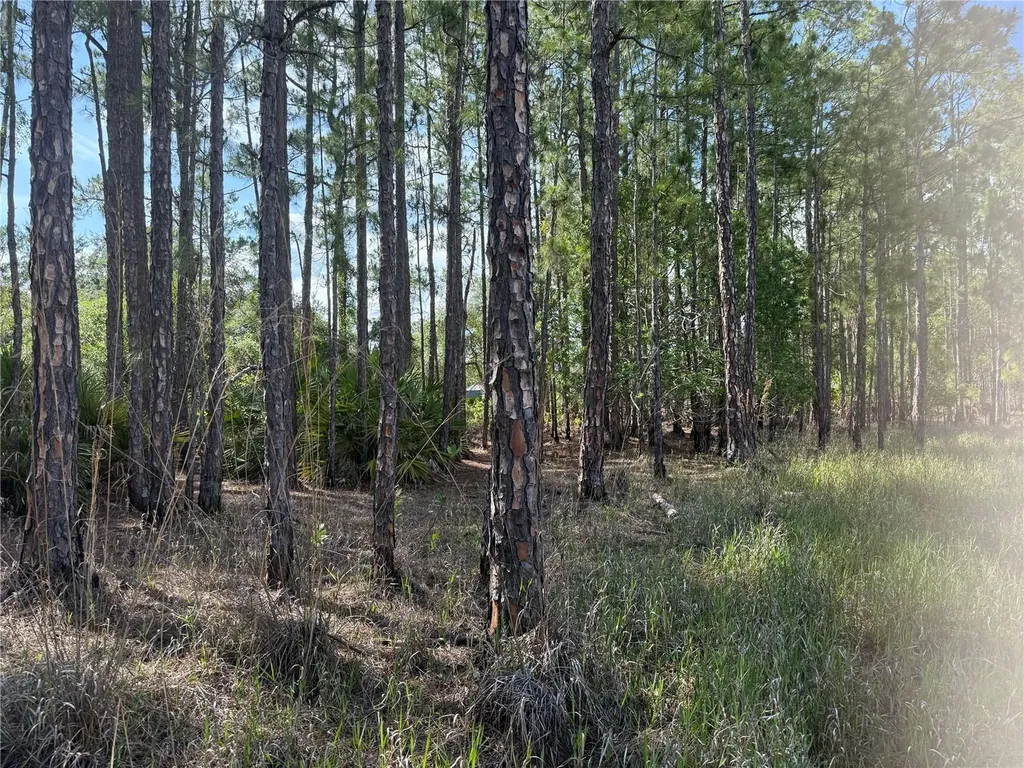 Aspen Street Eustis FL 32736