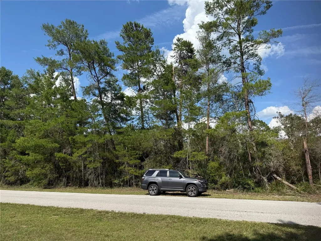 Aspen Street Eustis FL 32736
