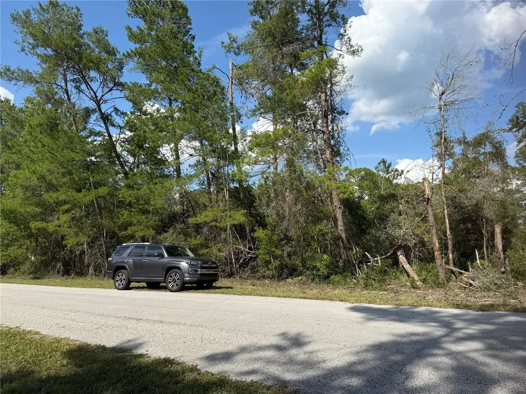 Aspen Street Eustis FL 32736