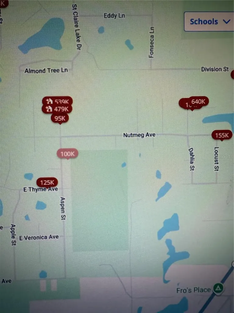 Aspen Street Eustis FL 32736