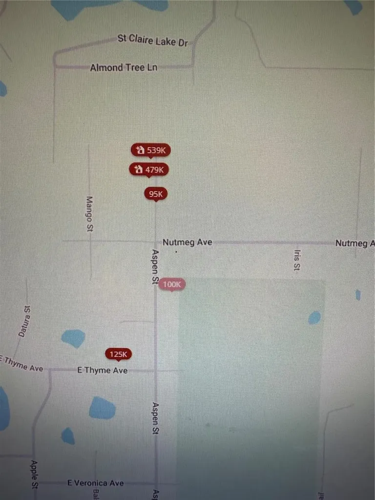 Aspen Street Eustis FL 32736