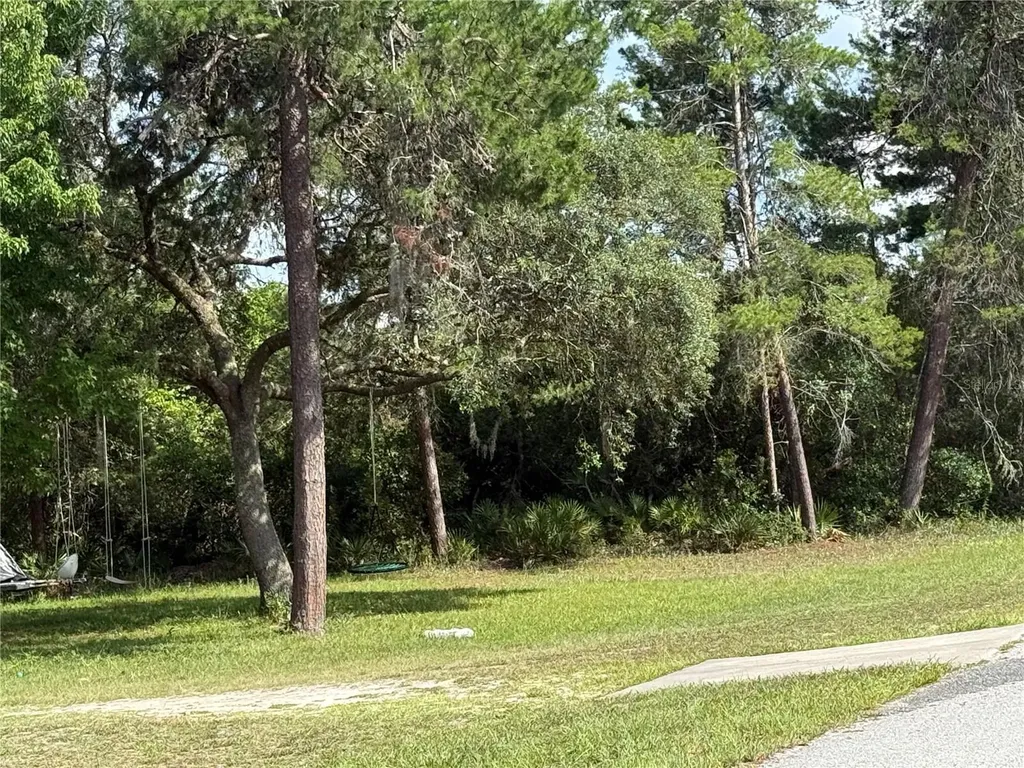 Aspen Street Eustis FL 32736