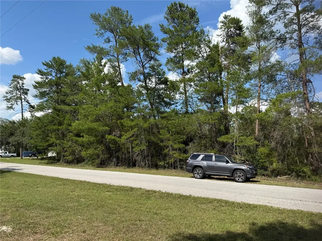 Aspen Street Eustis FL 32736